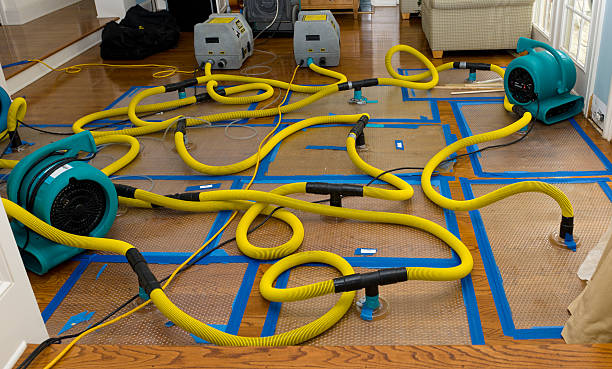 Professional Structural Drying And Dehumidification technician working in Fairfield, IA