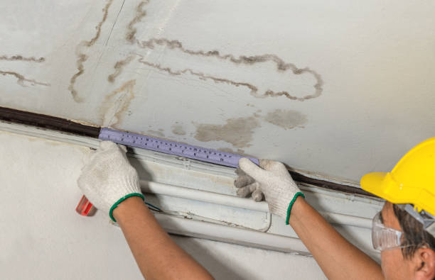 Affordable Water Damage Repair solutions in Fairfield, IA